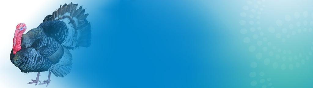 Protecting Flocks and the Planet: How FG-Poultry’s 100% Recycled Midlantic Poultry Pads Support Biosecurity and Sustainability Amid Avian Influenza Threats